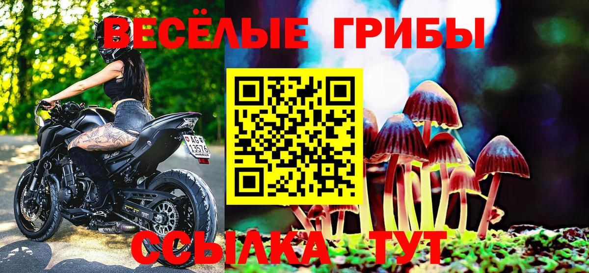 Галлюциногенные грибы Psilocybe Ялуторовск